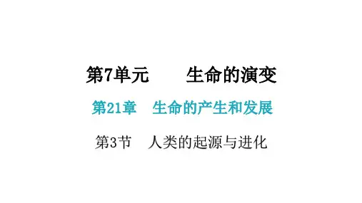 2  人类的起源与进化 课件 八年级生物下册(北师大版) 