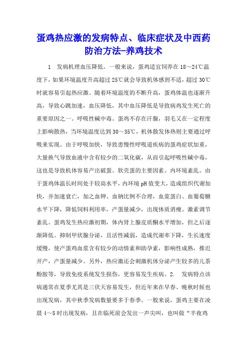 蛋鸡热应激的发病特点、临床症状及中西药防治方法 - 养鸡技术