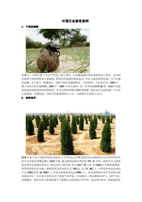 环境生态修复案例