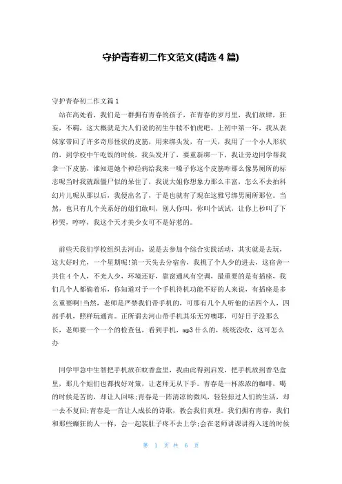 守护青春初二作文范文(精选4篇)