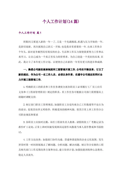 个人工作计划(14篇)