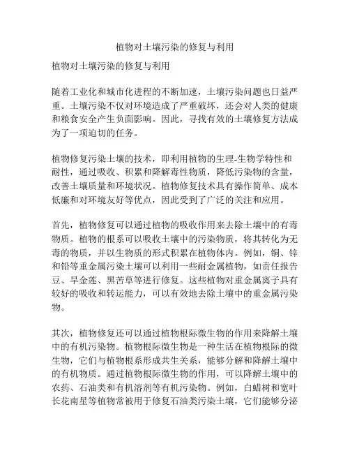 植物对土壤污染的修复与利用