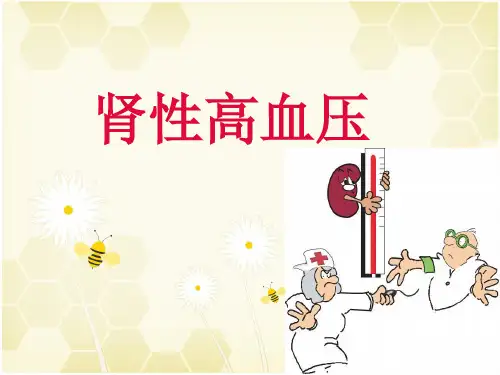 肾性高血压PPT小讲课