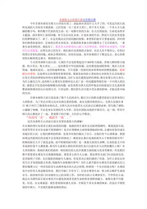 舟曲特大山洪泥石流灾害观后感