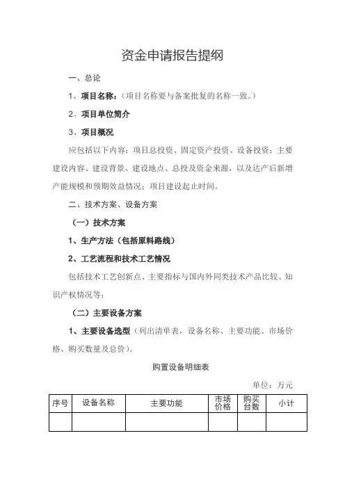 资金申请报告提纲