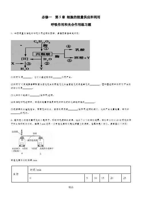 高一生物光合作用和呼吸作用练习题