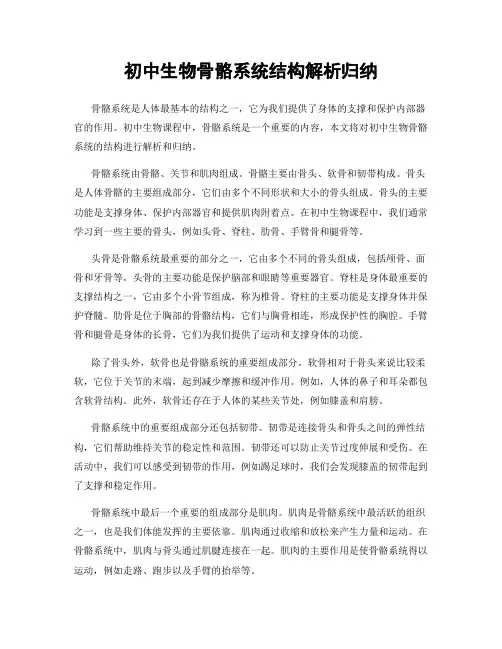 初中生物骨骼系统结构解析归纳