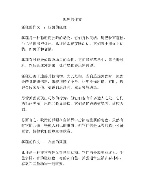 狐狸的作文