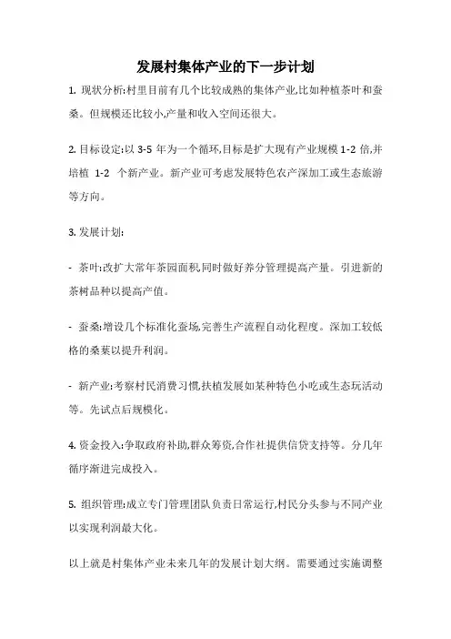 发展村集体产业的下一步计划