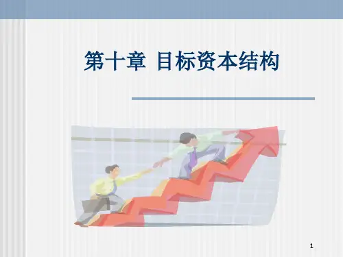 第十章目标资本结构PPT课件