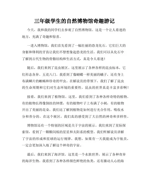 三年级学生的自然博物馆奇趣游记