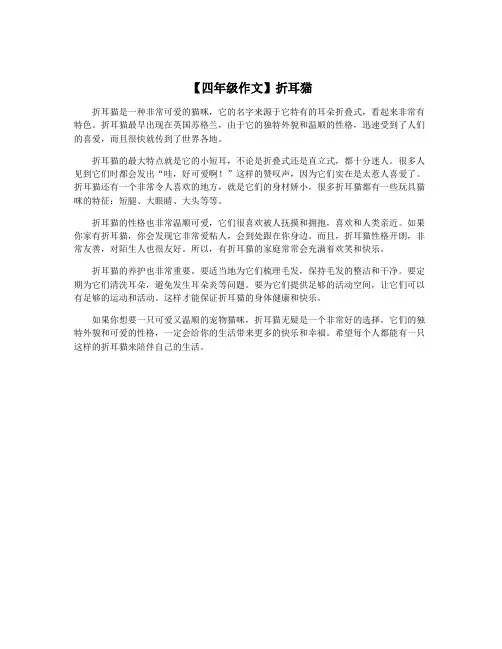 【四年级作文】折耳猫