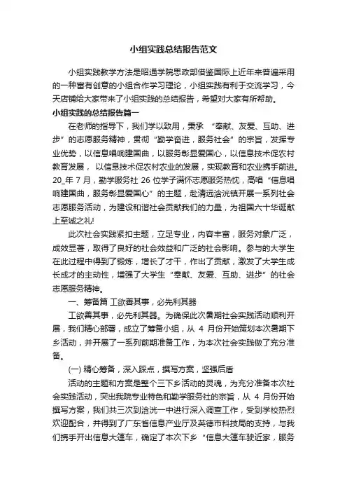 小组实践总结报告范文