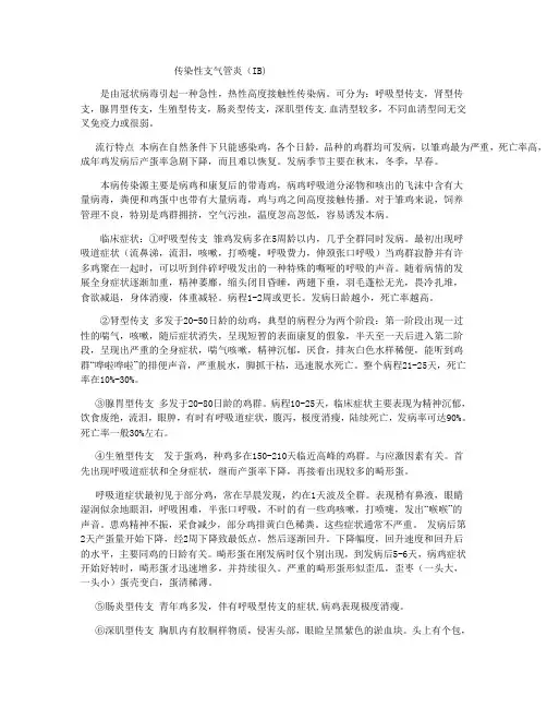 传染性支气管炎(IB)