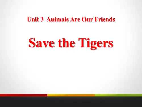 《Save the Tigers》Animals Are Our Friends 课件(完整版)