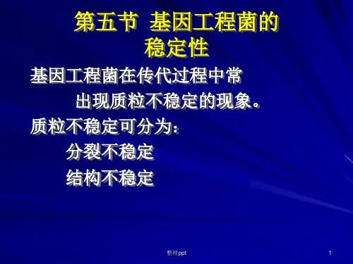 《基因工程菌发酵》PPT课件