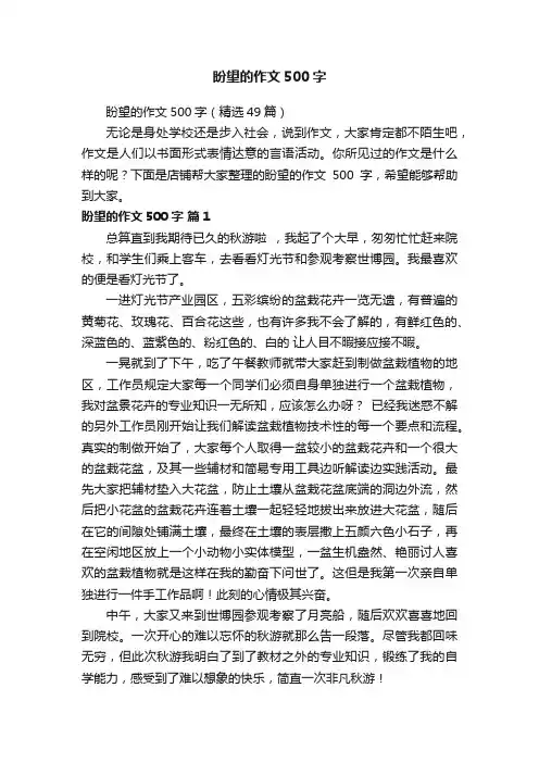 盼望的作文500字