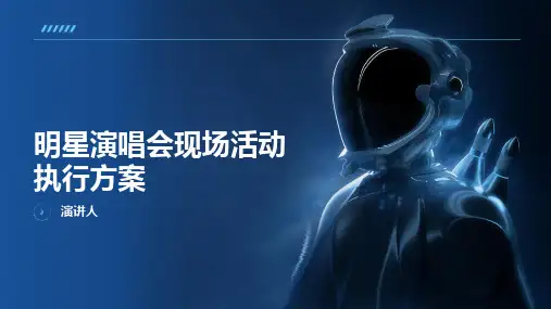 明星演唱会现场活动执行方案