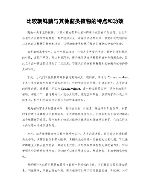 比较朝鲜蓟与其他蓟类植物的特点和功效