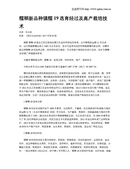 糯稻新品种镇糯19选育经过及高产栽培技术