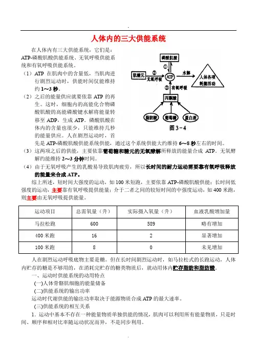 人体内的三大供能系统