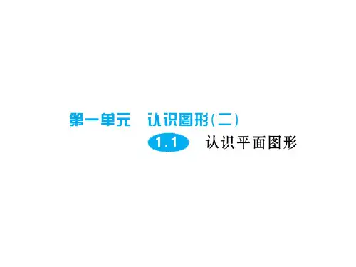 人教新课标一年级下册数学习题课件-第一单元1.1认识平面图形.ppt