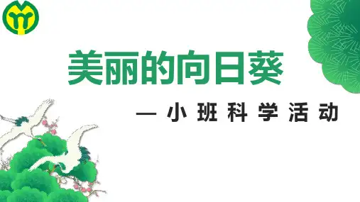小班科学：美丽的向日葵