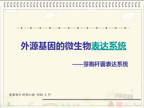 外源基因的表达体系
