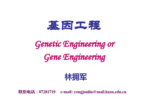 基因工程讲稿-1