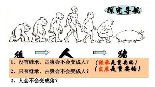 4.2 文化在继承中发展