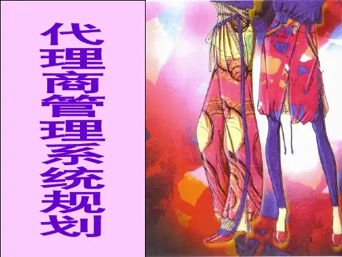 代理商管理体系PPT幻灯片课件