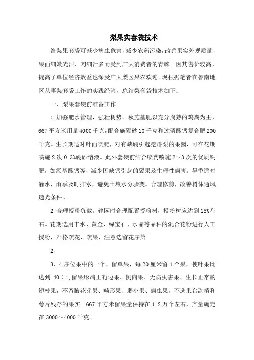 梨果实套袋技术