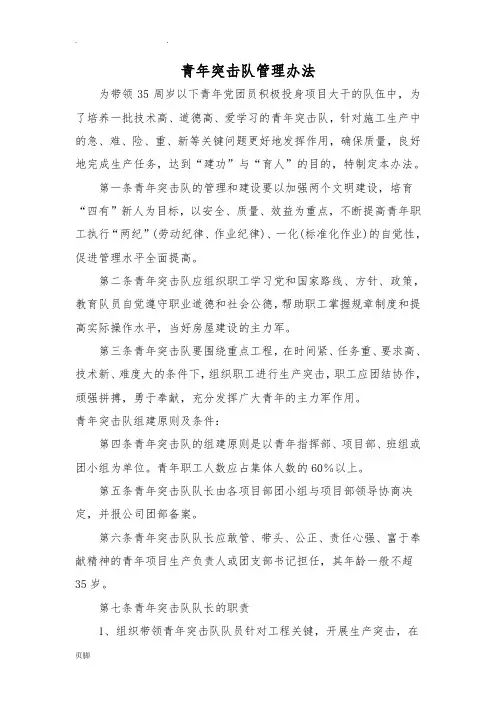 项目部青年突击队管理办法