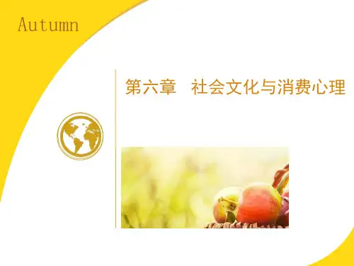 《消费心理学》第六章社会文化与消费心理