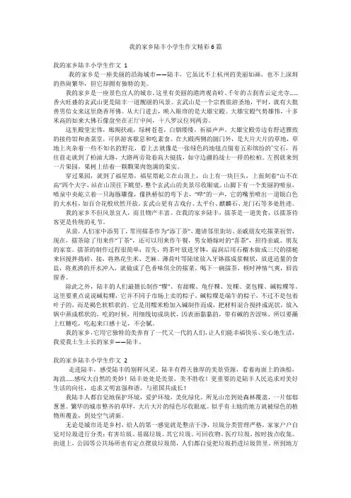 我的家乡陆丰小学生作文精彩6篇