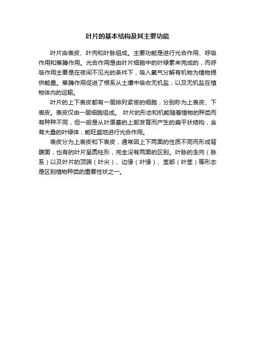 叶片的基本结构及其主要功能