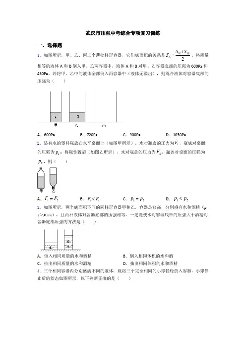 武汉市压强中考综合专项复习训练