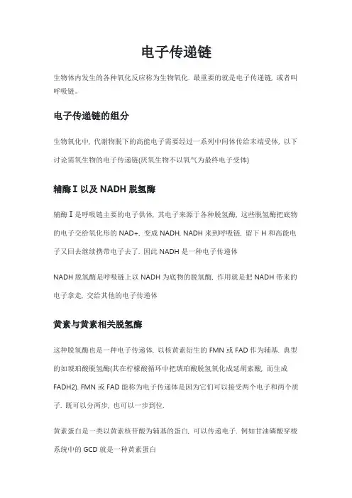 生物化学复习笔记-电子传递链