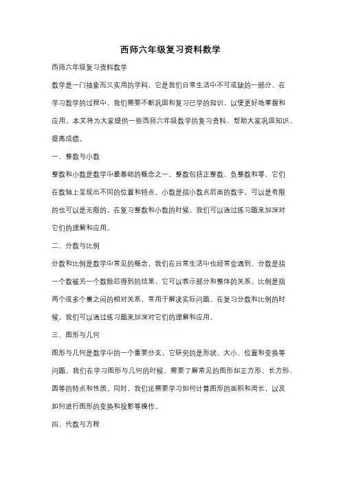 西师六年级复习资料数学