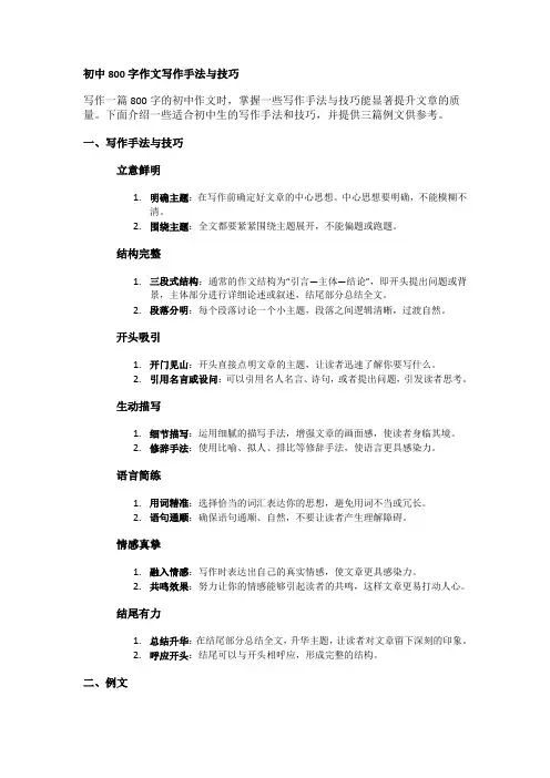 初中作文基础写作手法、技巧及例文
