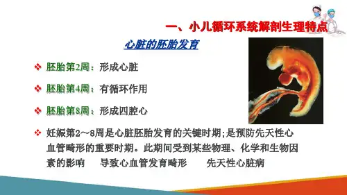 循环系统疾病患儿的护理—小儿循环系统解剖生理特点(儿科护理课件)
