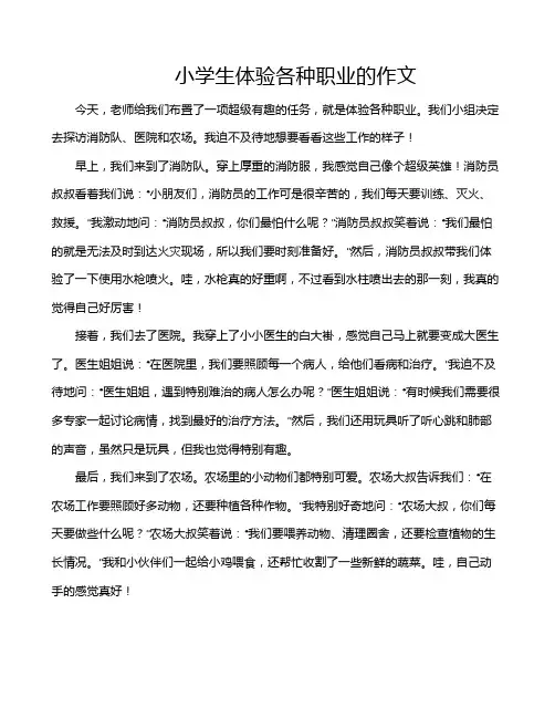 小学生体验各种职业的作文