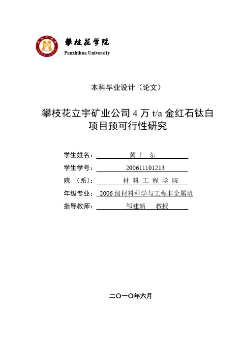 攀枝花立宇矿业公司4万t金红石钛白项目预可行性研究--黄仁东