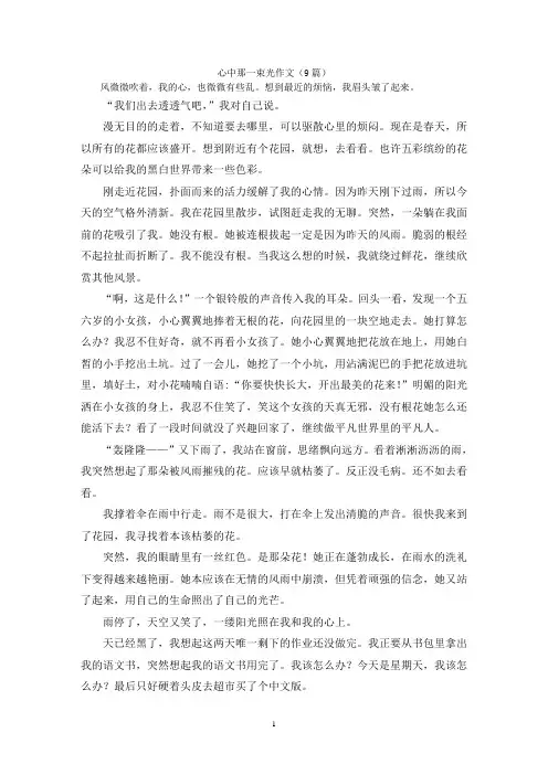 心中那一束光作文(9篇)