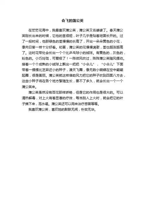 会飞的蒲公英