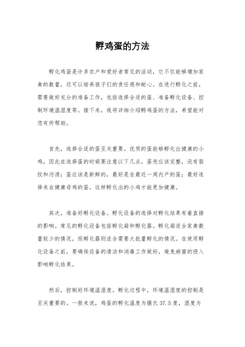 孵鸡蛋的方法