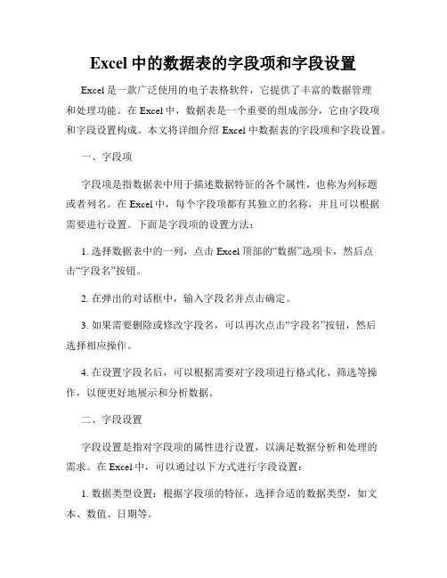 Excel中的数据表的字段项和字段设置