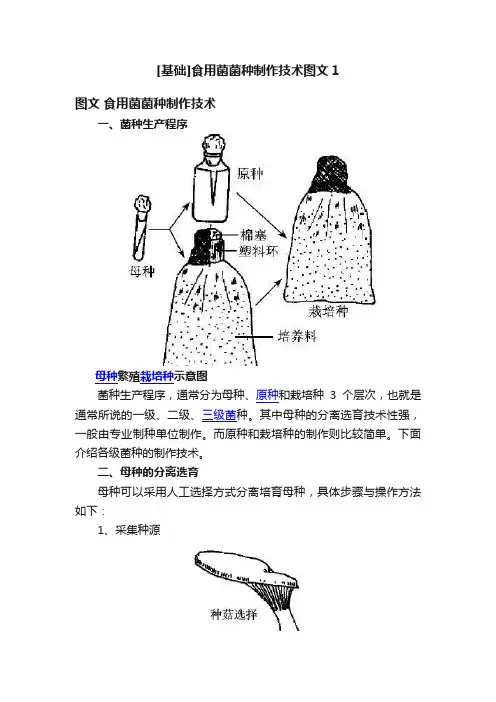 [基础]食用菌菌种制作技术图文1