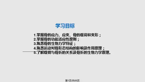 骨的生物力学PPT课件