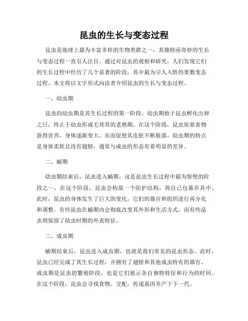 昆虫的生长与变态过程
